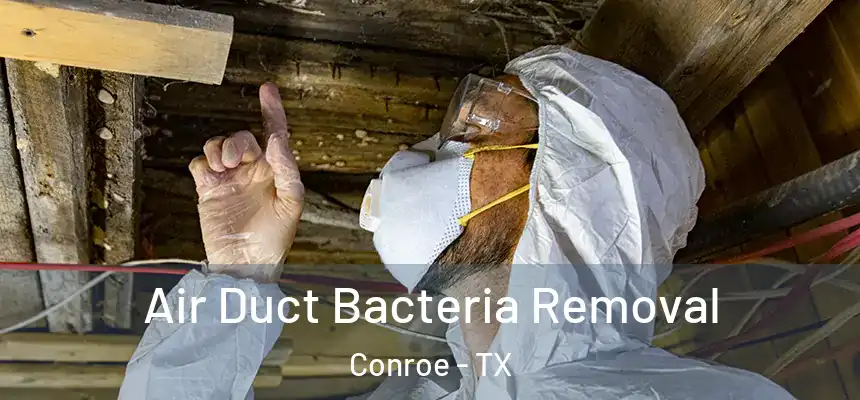  Air Duct Bacteria Removal Conroe - TX