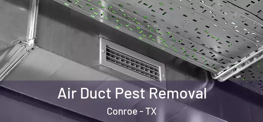  Air Duct Pest Removal Conroe - TX
