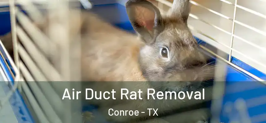  Air Duct Rat Removal Conroe - TX