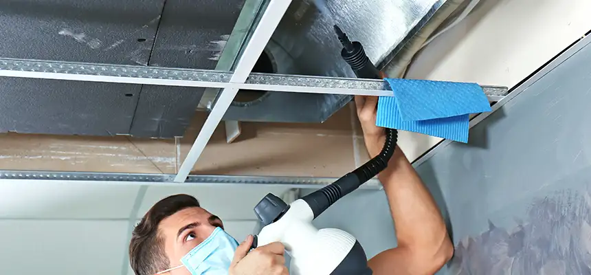 Our Air Duct Rodent Removal Services in Conroe, TX