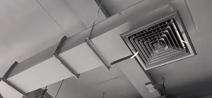 Our Pest Removal From Ducts Services in Conroe, TX