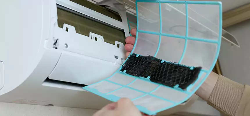 Gentle Ductwork Odor-Control Pet Dander Duct Cleaning in Conroe, TX