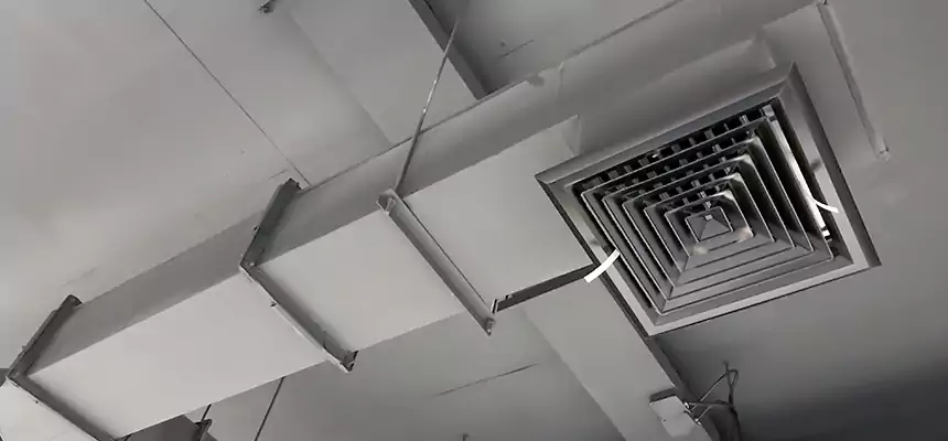 Our Rodent Droppings In Vents Services in Conroe, TX