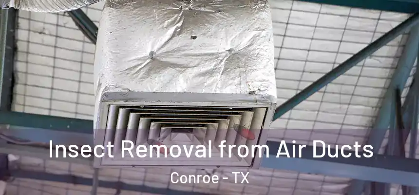  Insect Removal from Air Ducts Conroe - TX
