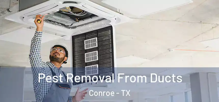  Pest Removal From Ducts Conroe - TX