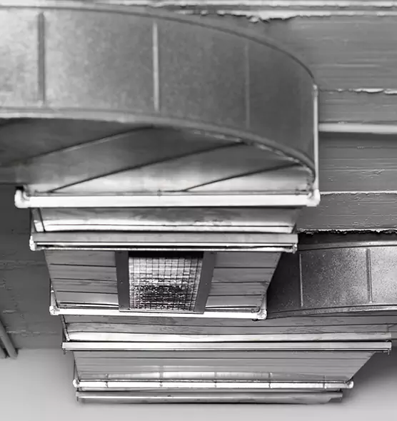 Professional Air Duct Pet Hair Removal in Conroe, TX