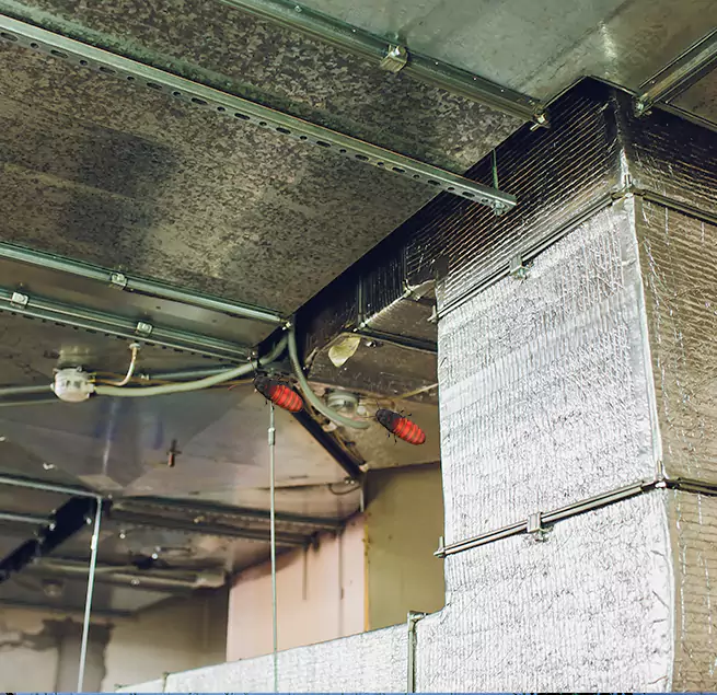 Why Homeowners & Businesses Trust Us in Conroe, TX?