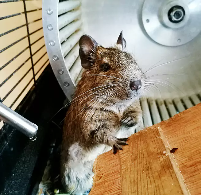 Why Homeowners & Businesses Trust Us Conroe, TX