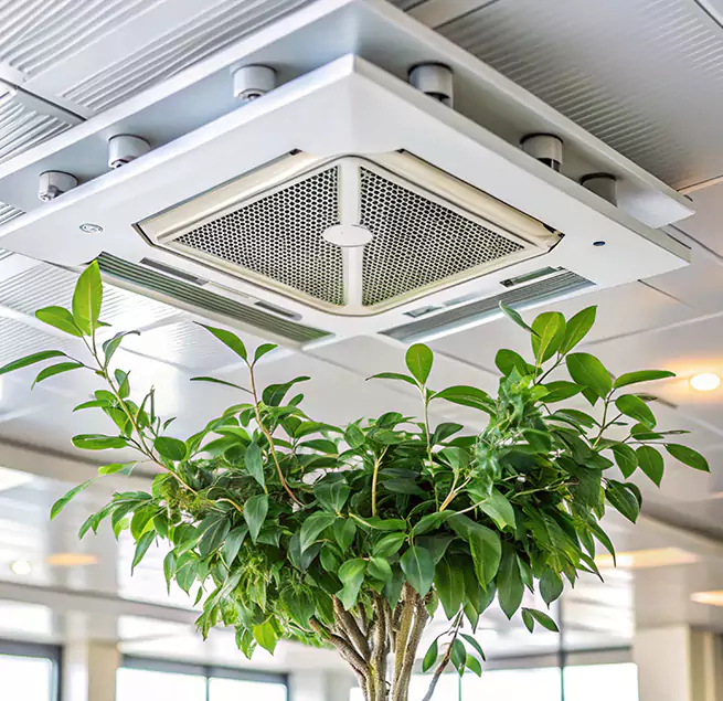 Why Homeowners & Businesses Trust Us in Conroe, TX?